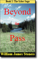 Beyond The Pass Novel Cover