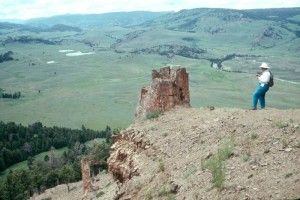 Fossil Stump in Yellowstone NP