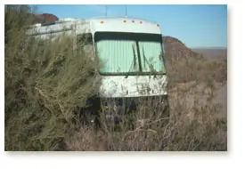 Commander in Picacho State Park, Arizona