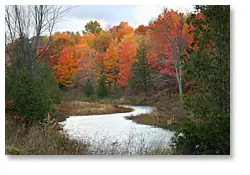 Along the Perth Road, Ontario