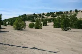 Sand dunes near Tadoussac