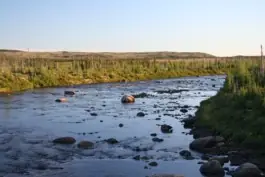 Labrador River