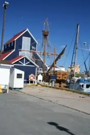 The Matthew