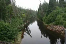 Dark river near Natashquan