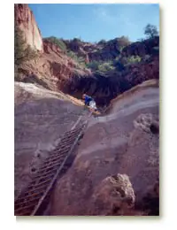 View of ladders