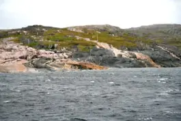Coastal rock