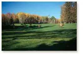 Elk enjoy golf course in Prince Albert NP, Saskatchewan