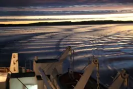 Ripples in the water