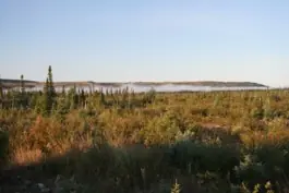 Fog rises above a distant river