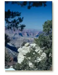 Rim of Grand Canyon
