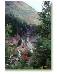 Marble Canyon