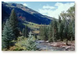 Along the Marble River