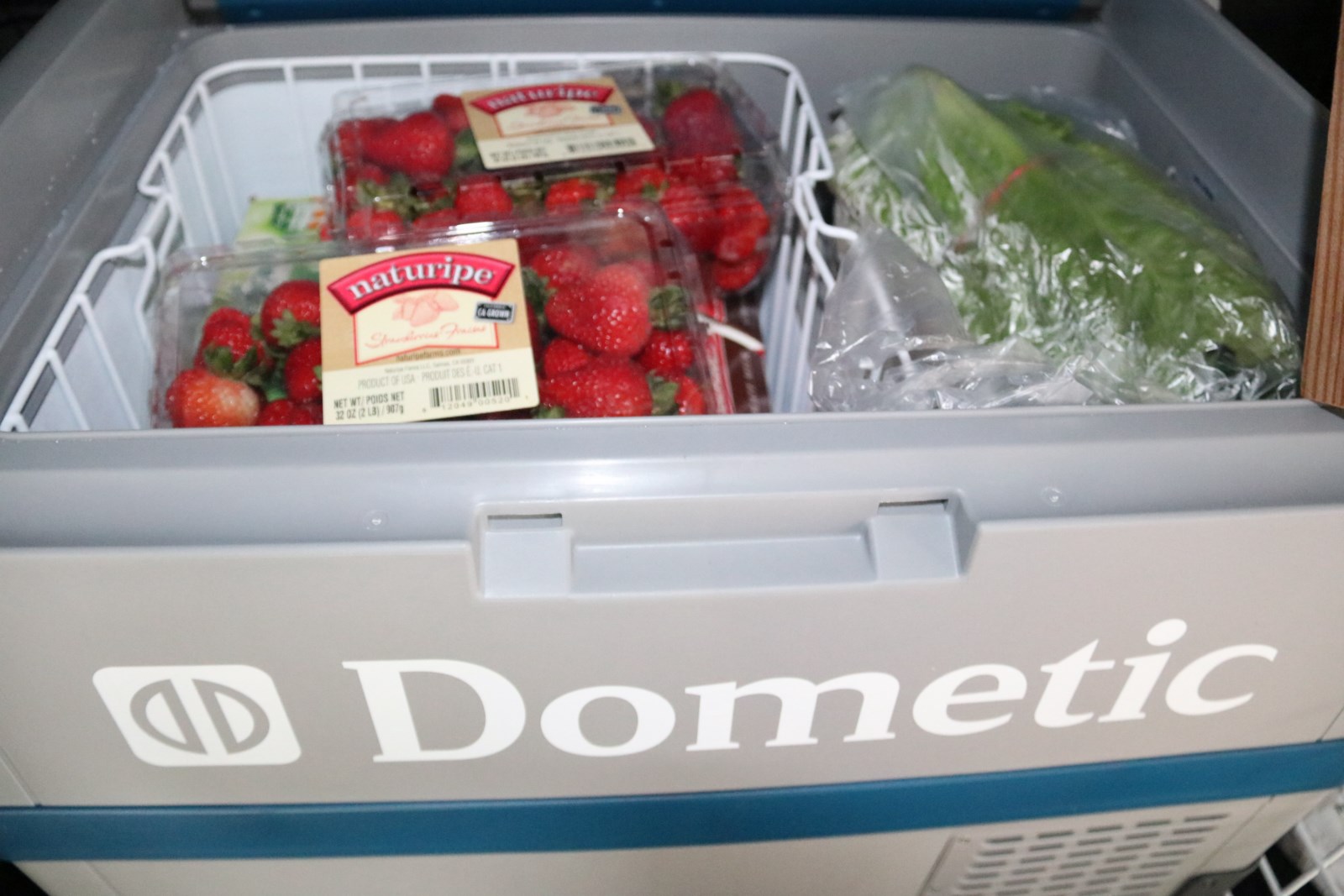 Dometic Cooler with food