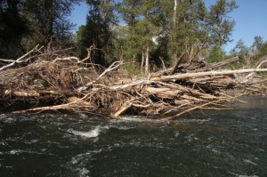 Row of debris left from flood