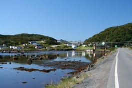 Settlement along the bay, Newfoundland