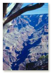 Bright Angel Canyon, Arizona