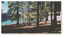 Grand Mesa Campground